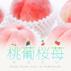 桃葡桜苺 -もぶさい- | Fruits farm List in Yamanashi｜山梨県のフルーツファームを