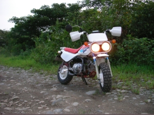 Thumbnail of post image 116