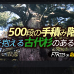 Thumbnail of post image 129