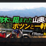 Thumbnail of post image 111